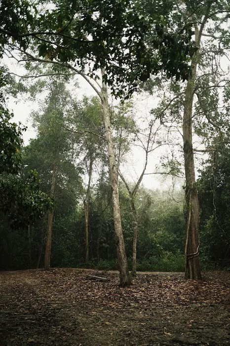 Bandu Buana Glamping Picture 5