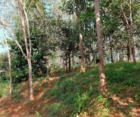 Start Point Bukit Senaling Hiking Trail