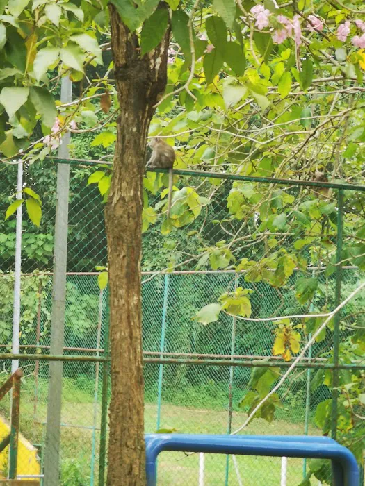 Taman Rekreasi Bukit Pilah Picture 9