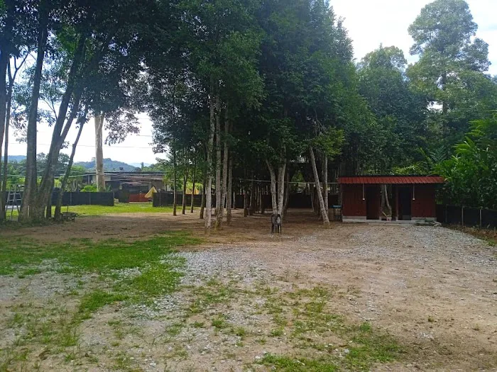 Udang Galah Farm Campsite - Kuala Pilah Picture 1