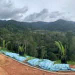 Suria Garden Hills
