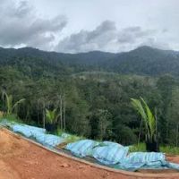 Suria Garden Hills ico