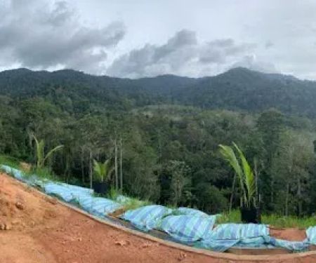 Suria Garden Hills