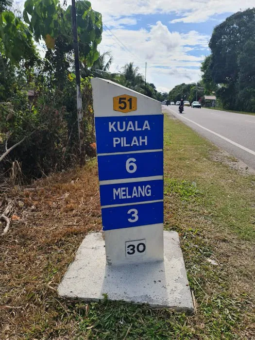 Kebun Cikgu Musa Picture 2