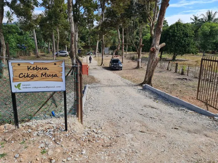 Kebun Cikgu Musa Picture 4
