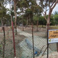 Kebun Cikgu Musa ico