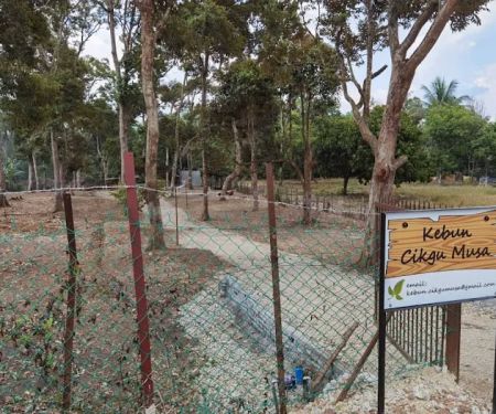 Kebun Cikgu Musa