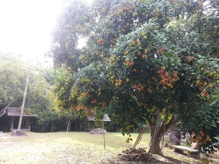 Kem Sri Pilah @ Homestay KemsriPilah Picture 8