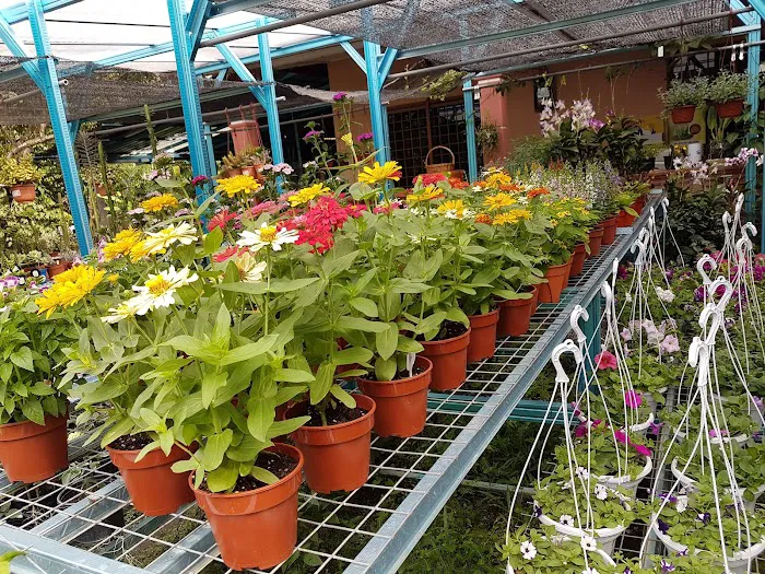 Nurseri Laman Santai Picture 4