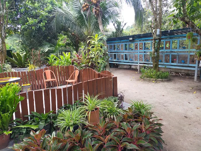 Nurseri Laman Santai Picture 2