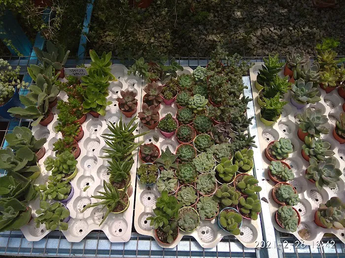 Nurseri Laman Santai Picture 6