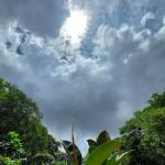 Town Park Pandan Indah