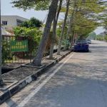 K-Agro Nursery