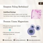 JAMU RATU MALAYA KELANTAN BONDA ROZITA