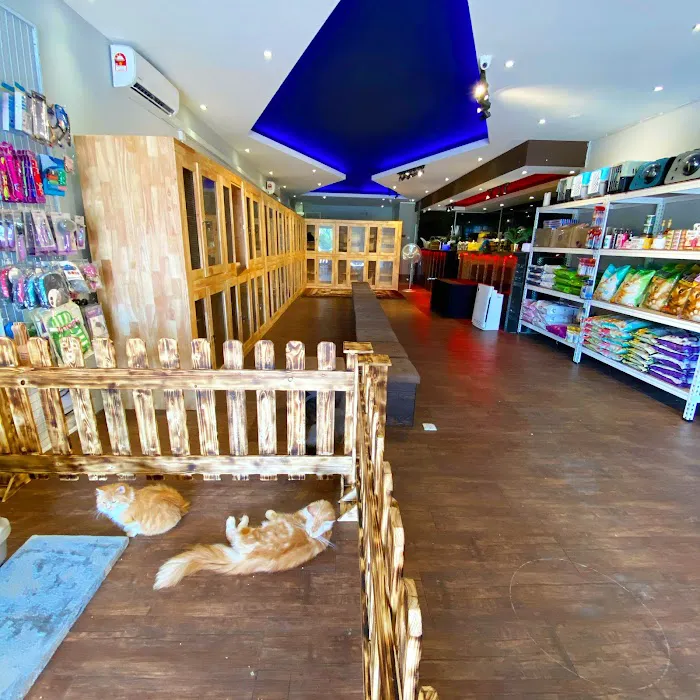 iTSMYPET GROOMING & HOTEL Picture 9