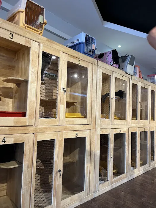 iTSMYPET GROOMING & HOTEL Picture 7