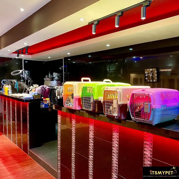 iTSMYPET GROOMING & HOTEL Picture 3