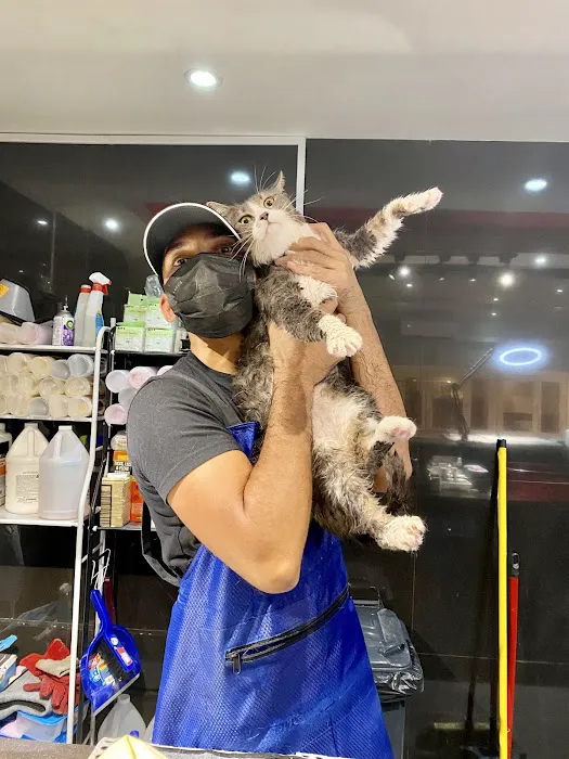 iTSMYPET GROOMING & HOTEL Picture 5