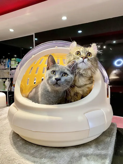 iTSMYPET GROOMING & HOTEL Picture 1