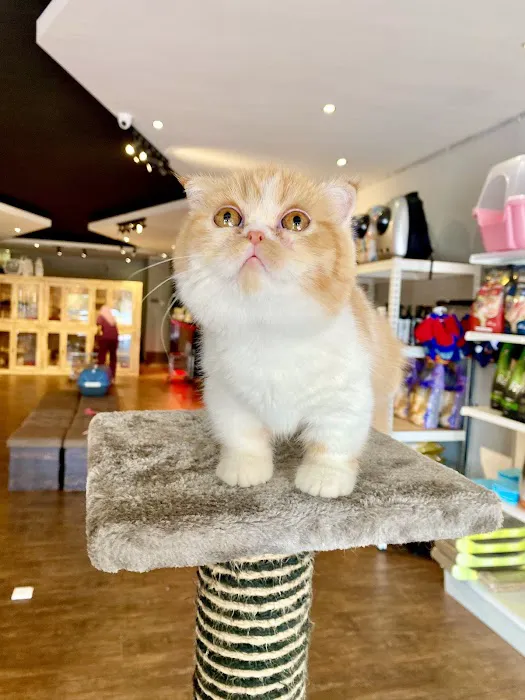 iTSMYPET GROOMING & HOTEL Picture 4