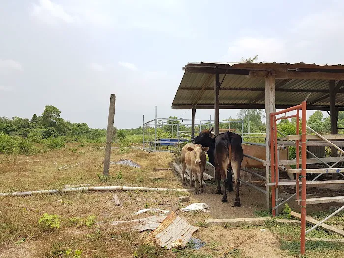 My Farm Resources Sdn Bhd Picture 10