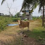 My Farm Resources Sdn Bhd