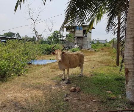 My Farm Resources Sdn Bhd