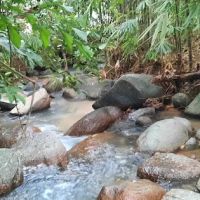 RUSTIC Camp ico