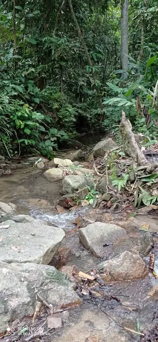 Airin Waterfalls Picture 2