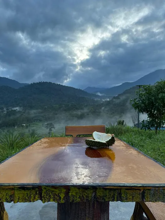 Farmville d’Puncak Picture 5
