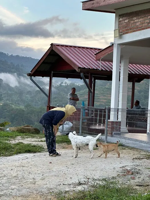 Farmville d’Puncak Picture 7