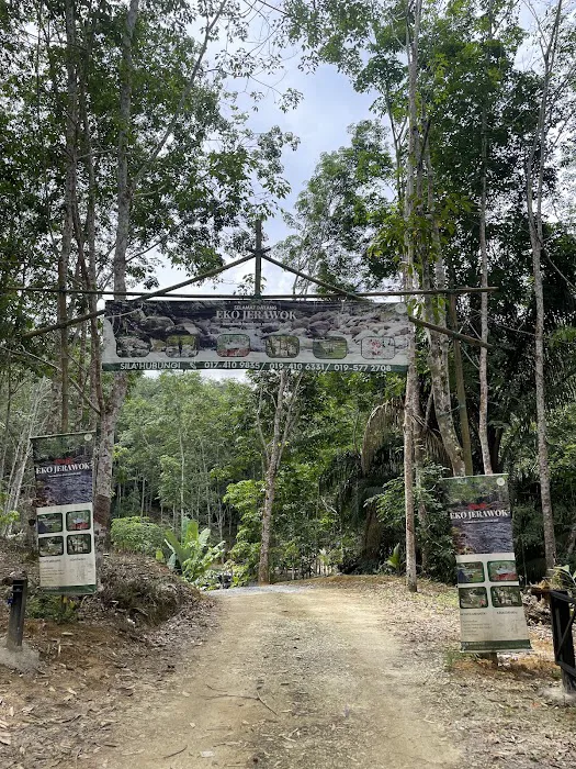Eko Jerawok Picture 1