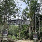 Eko Jerawok