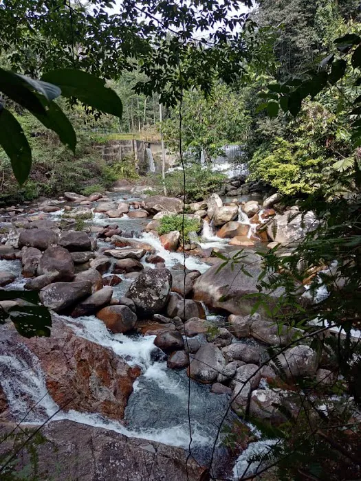 AYOF Eco Retreat Picture 6