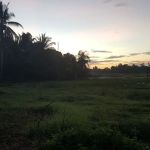 Masjid Mukim Chekeli