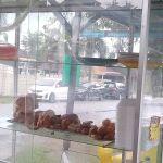 The Plaze-Your Chicken Rice Station