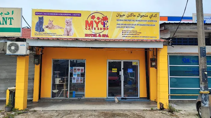 My E Cat Shops Picture 3
