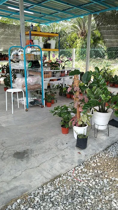 Sohady Nursery Picture 2