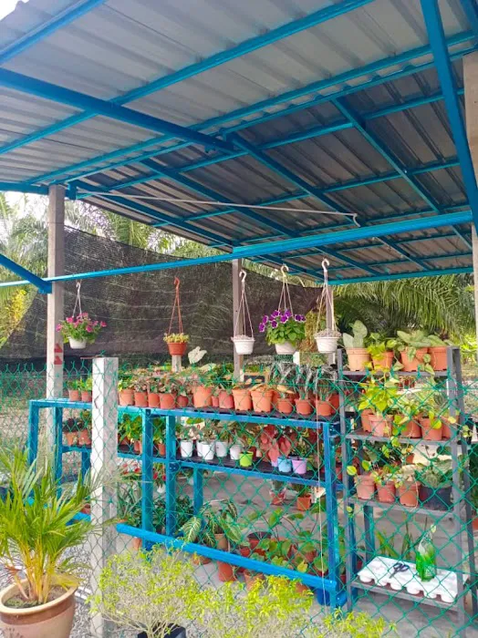 Sohady Nursery Picture 3