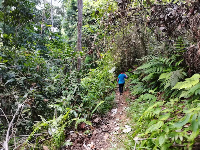 Jugra Hill Trail Picture 10