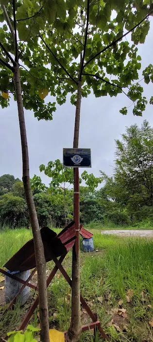 Jugra Hill Trail Picture 6