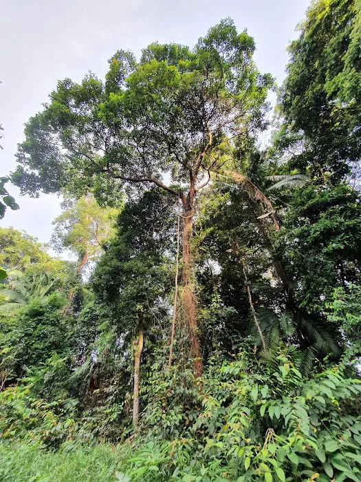 Bukit Jugra Peak Picture 10