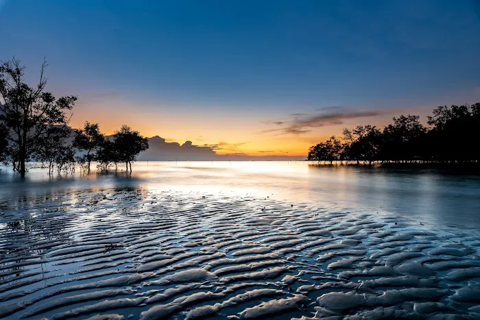 Pantai Kelanang Camp Site Picture 3