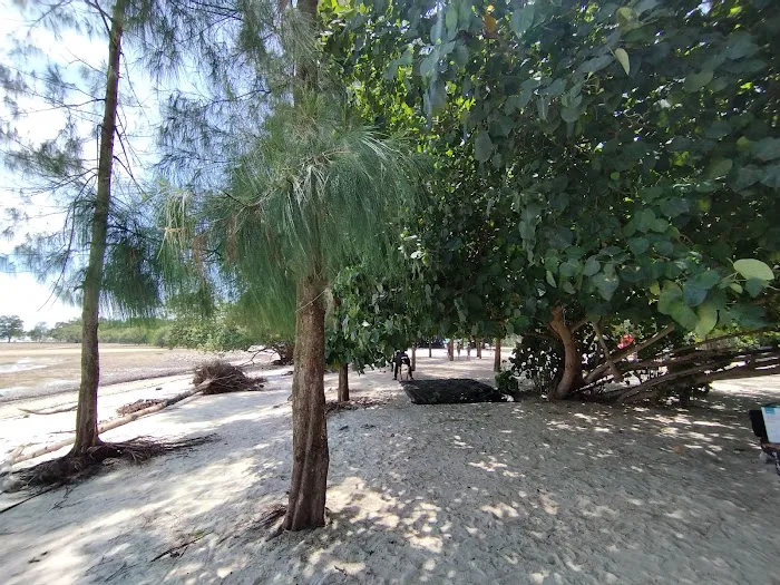 Pantai Kelanang Camp Site Picture 10