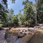 Hutan Lipur Bukit Bakar