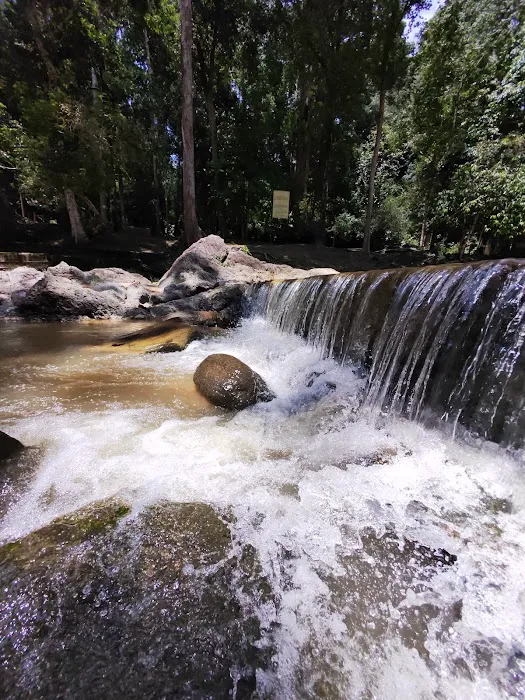 Bukit Bakar Recreational Forest Picture 1