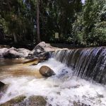 Bukit Bakar Recreational Forest