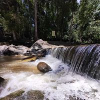Bukit Bakar Recreational Forest ico