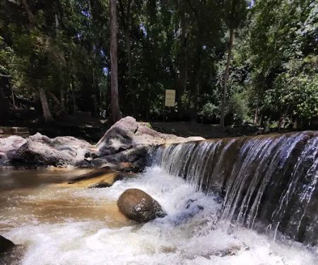 Bukit Bakar Recreational Forest