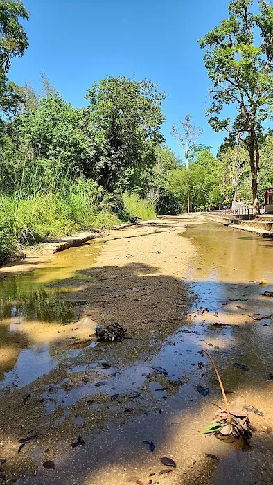 Bukit Bakar Recreational Forest Picture 3
